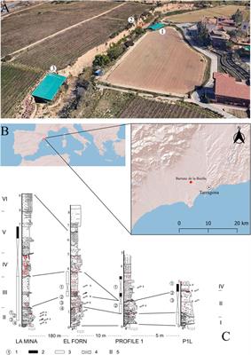 The earliest European Acheulean: new insights into the large shaped tools from the late Early Pleistocene site of Barranc de la Boella (Tarragona, Spain)